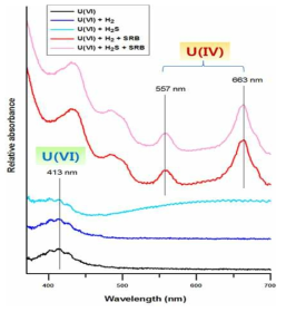 수소와 황화수소 가스에 의한 우라늄 산화수 변화 UV-흡수 스펙트럼선