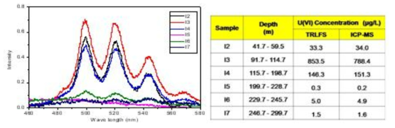 TRLFS를 이용한 KURT 지하수중 우라늄 농도 측정 결과(좌)와 ICP-MS 측정결과와의 비교 검증 결과(우)