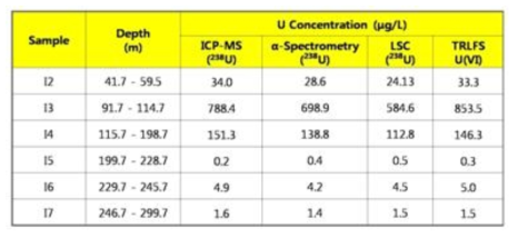 우라늄 동위원소 분석결과의 비교검증 결과