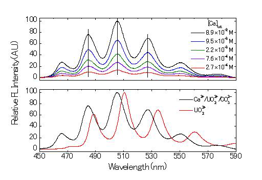 TRLFS로 측정한 Ca2+ 농도변화에 따른 Ca-UO2-CO3 우라늄 복합 체의 형광 피크(위)와 우라닐 이온(UO22+)와의 형광 피크(아래)의 비교