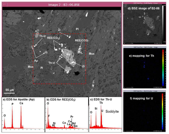 KURT 암석시료 B(B2-06)에 존재하는 U과 Th의 분포, 원소 및 광물 확인을 위한 후방산란전자(BSE) 이미지, 미세 X-선 분광, Th와 U 맵핑 이미지