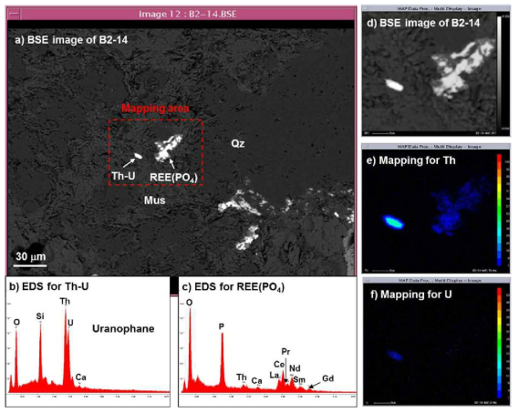 KURT 암석시료 B(B2-14)에 존재하는 U과 Th의 분포, 원소 및 광물 확인을 위한 후방산란전자(BSE) 이미지, 미세 X-선 분광, Th와 U 맵핑 이미지