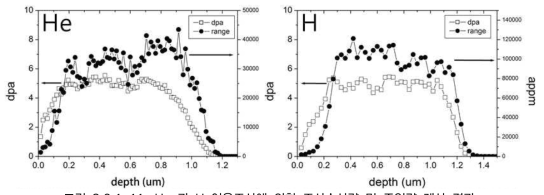 He 과 H 이온조사에 의한 조사손상량 및 주입량 계산 결과.