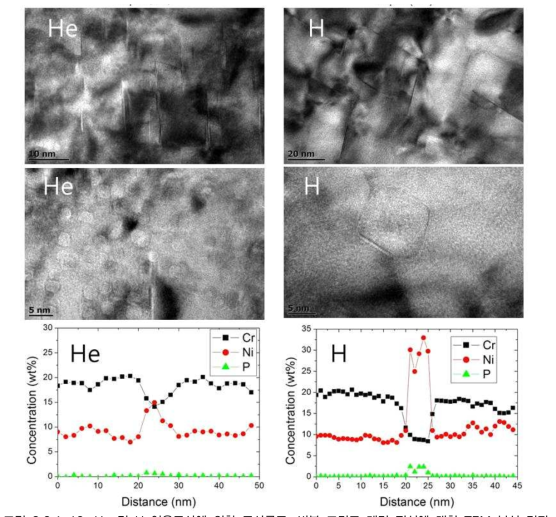 He 및 H 이온조사에 의한 조사루프, 버블 그리고 계면 편석에 대한 TEM 분석 결과.
