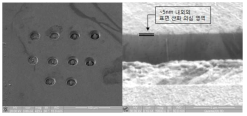 Micro-pillar의 구조분석 및 표면 상화깊이 측정.