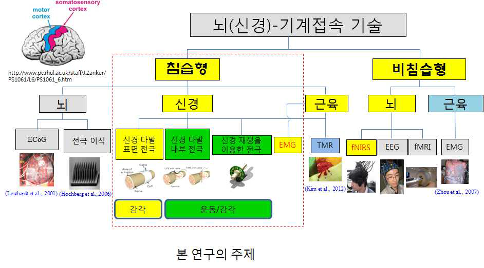 본 연구단이 지향하는 신경-기계 접속기술: 운동명령 디코딩과 감각신호의 인코딩 기술(노란색으로 표시함).