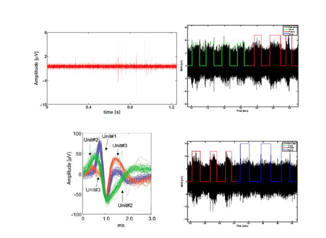 왼쪽: 스파이크 활성 신호(위 Noce et al., 2016, 아래 Aoyagi et al., 2003), 오른쪽:조합된 활성 신호(Raspopovic et al., (2010)).