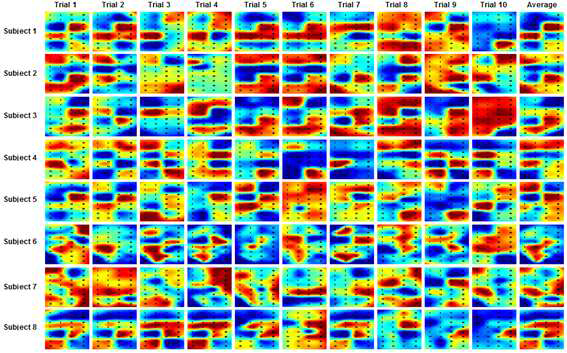 활성화지도 (공쥐기) : 각 시행 및 8 명의 모든 대상에 대한 공쥐기 실험에서 좌측감각피질의 활성화지도.
