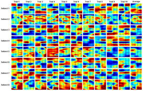 활성화 지도 (저온) : 각 시행 및 모든 8 명의 실험대상자에 대한 저온 실험에서 좌측감각피질의 활성화 지도.