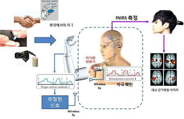 자극패턴과 다발형 fNIRS시스템을 이용한 의수 개발 개략도.