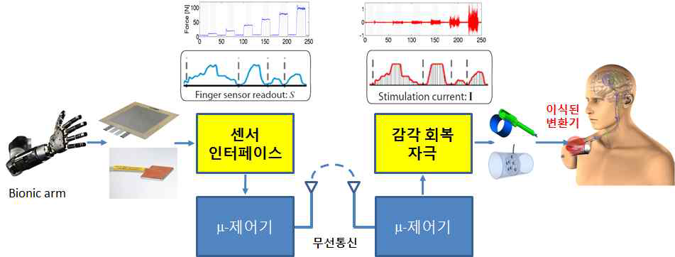 감각신호 디코딩 과정.