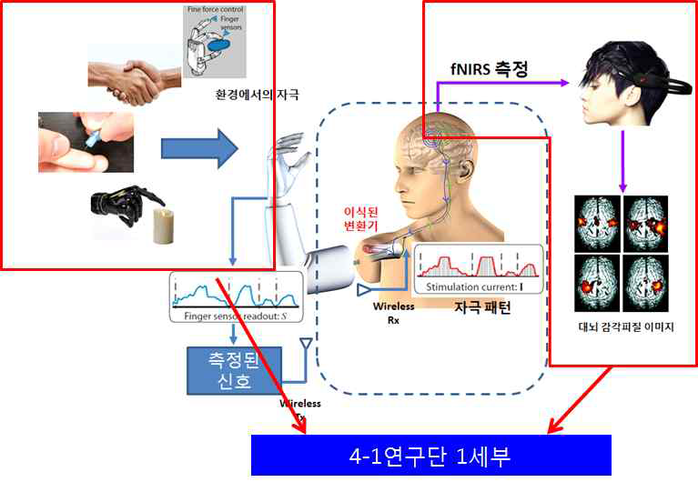 본 연구단에서 진행한 부분 도식화.