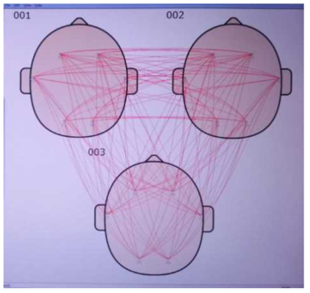 팀 구성원간 대뇌 각 부위의 동기화 수준의 시각화