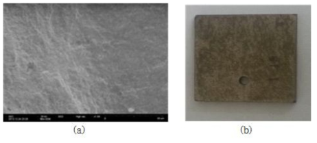 (a) SEM image of Inconel 600 surface (X 500) after dissolution test and (b) photograph of Inconel 600 specimen