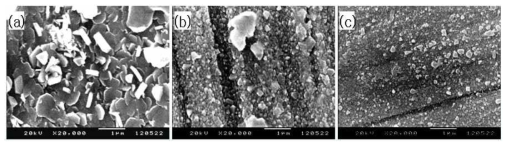 SEM photo of oxide corroded in (a) test 1, (b) test 2 and test 3 of Table 22.