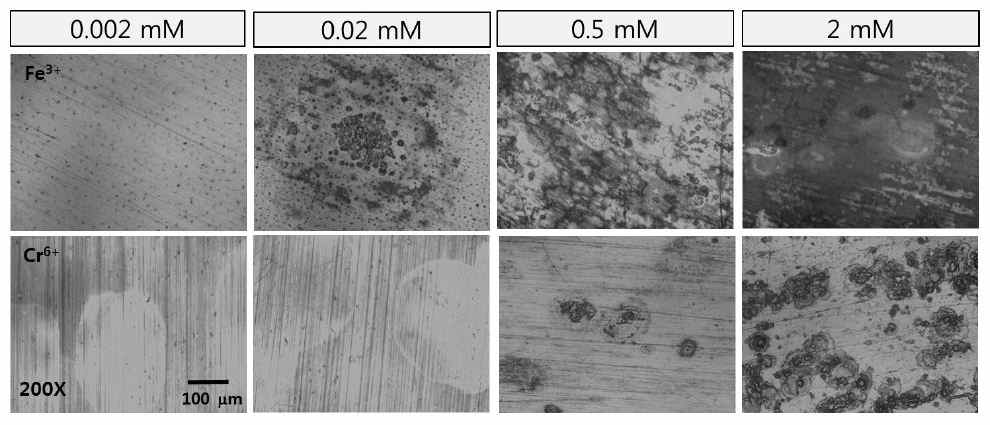 Effect of Fe3+ and Cr6+ ion on the localized corrosion morphology of Inconel-600 corroded in typical NP solution at 95 oC for 20 h.