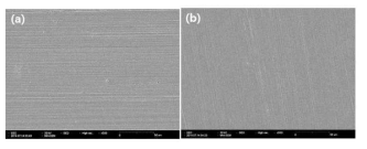 Surface morphology of (a) Inconel-600 and (b) 304 SS crevice-corroded in HyBRID decontamination solution at the pH of 1.8.