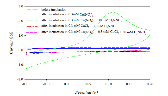 Fe3O4를 증착한 ITO 전극에서 Cl-가 존재할 때 Cu deposition 확인 (quiet time 10 s, scan rate 20 mV/s).