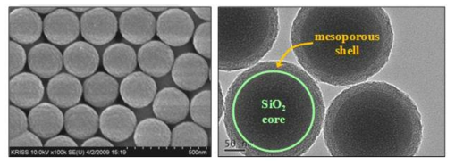 Representative SEM and TEM images of monodispersive core-shell silica nanoparticles with mesoporous shell synthesized by using the amount of CTABr(0.24 g) and TEOS