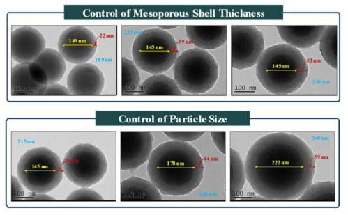 TEM images of mesoporous core-shell silica NPs with various sizes and mesoporous shell thickness.