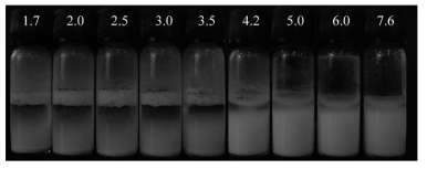 pH-dependent behavior of foams prepared in batch mode using PAA-stabilized PS latex particles (2.6 wt %, 0.1 M aqueous NaCl). Photograph of vessels taken 1 week after shaking an aqueous dispersion of particles at different pH values (given).