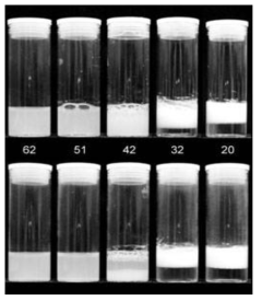 Appearance of vessels at room temperature at 10 min (upper) and 13.5 h (lower) after homogenization of aqueous dispersions containing 0.86 wt/v% silica particles (of different hydrophobicities, given as the amount of SiOH - 62, 51, 42, 32, and 20 % - on surface) in pure water