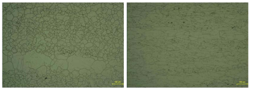 Optical micrograph of as-received (left) and 40% cold-rolled Alloy 690 (right) after strain relieving thermal treatment at 500℃ for 10h