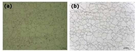 Microstructure of (a) forged bar (heat no. 135264) and (b) hot-extruded pipe (heat no. RF798)