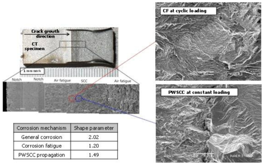 SEM micrographs of cracked surface of CT specimen after EN-DCPD test