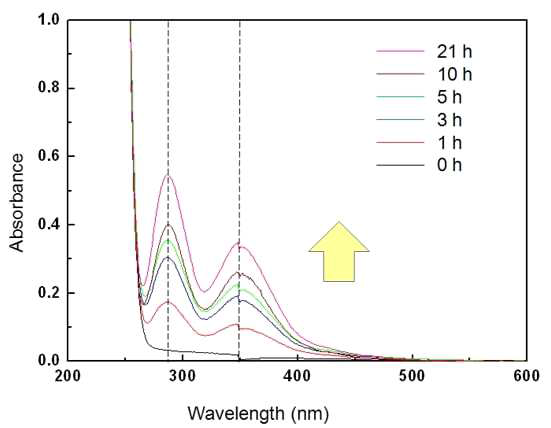UV 조사시간에 따른 I3- 이온의 광 흡수 스펙트럼