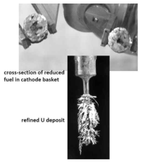 Electrorefining Experiment for the reduced metal of the electrolytic reduction process