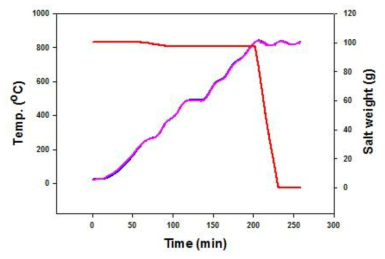 Temperature and salt weight profiles (steel ball).