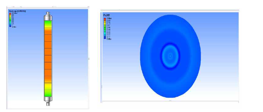 Contour map of (left) axial surface and (right) radial cross-section properties of fuel rod