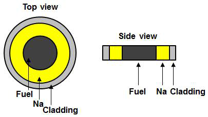 Schematic structures of metallic fuel described at top and side