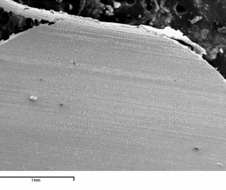 SEM image of U-10Zr fuel slug (A) at lower position