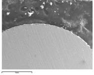 Secondary electron image of U-10Zr-5Ce fuel slug