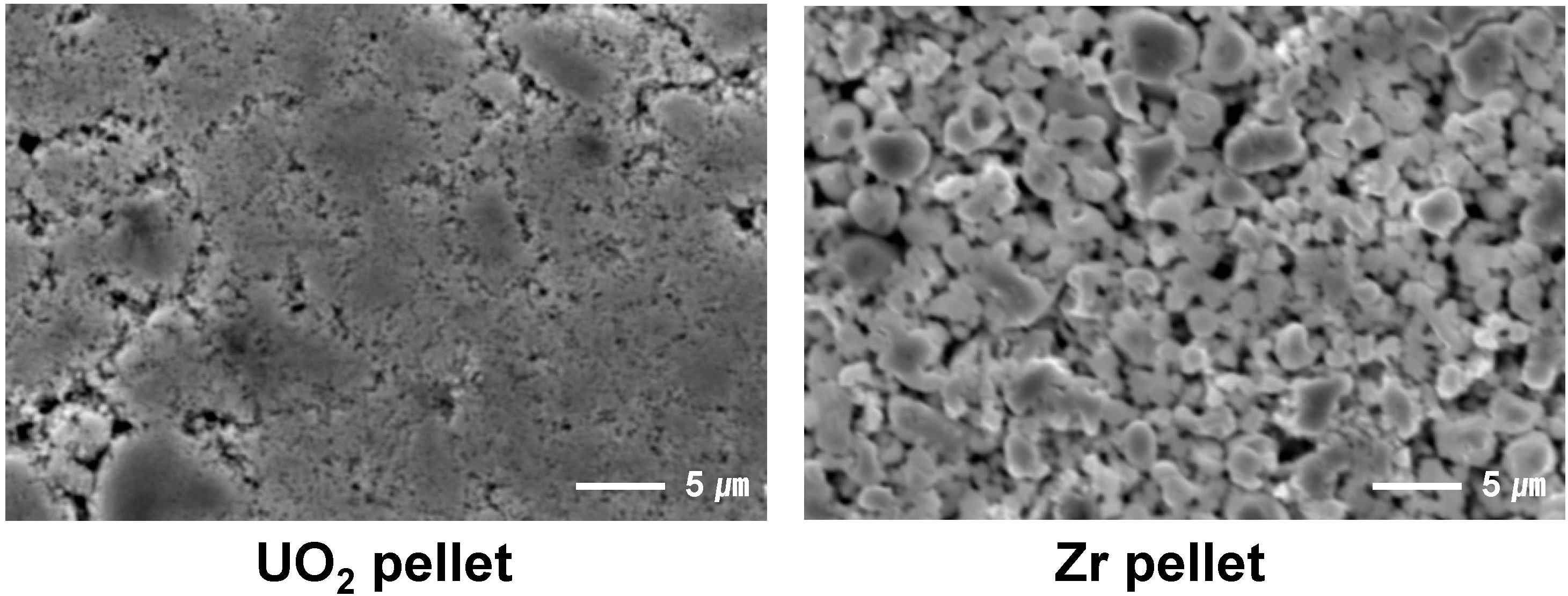 SEM images (×3,000) of UO2 and Zr at room temperature