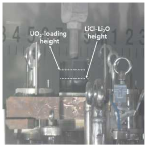 Difference between UO2-loading height and LiCl-Li2O height in cathode basket