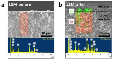 SEM-EDS analysis of La0.33Sr0.67MnO3 anode (a) before and (b) after the reaction