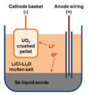 Schematic illustration of electrochemical cell architecture using Sb liquid anode for electrolytic reduction of UO2.