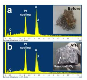 EDS analysis and photograph images of UO2 (a) before and (b) after the reaction using liquide Sb anode
