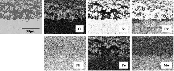 Cross-sectional microstructure and maps of Cr, Ni, O, Fe, Nb and Mo for Inconel 625 corroded at 850℃ for 72 h.