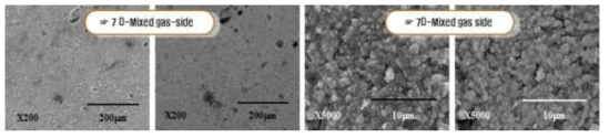 Cross-sectional microstructure and grain growth results for MgO-ZrO2 corroded at 650℃ for 168 h.