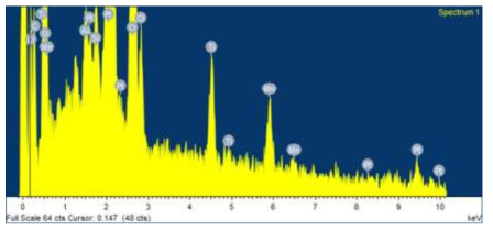 EDS analysis of anode byproducts in #6 Pt anode.