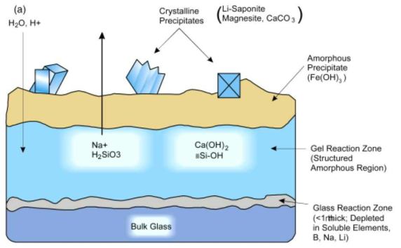 Schematic diagram of glass dissolution mechanism in aqueous solution