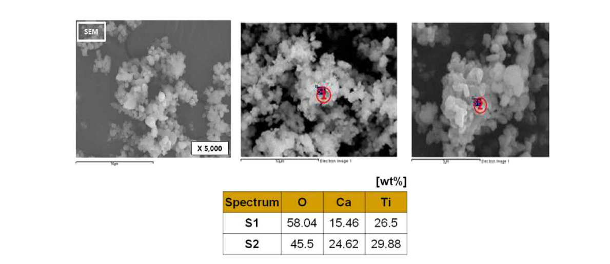 (a) Microstructure and (b) EDS of the CaTiO3 heat-treatment at 1100℃ for 3 hr