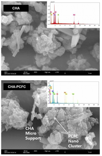 SEM images and EDS results of synthesized CHA and CHA-PCFC.