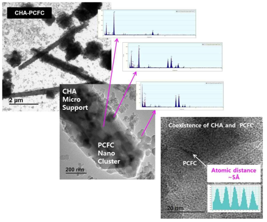 TEM images and EDS results of synthesized CHA-PCFC.