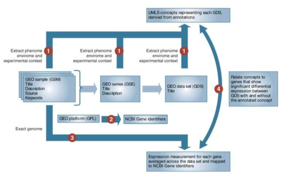 Phenome-genome network construction pipeline