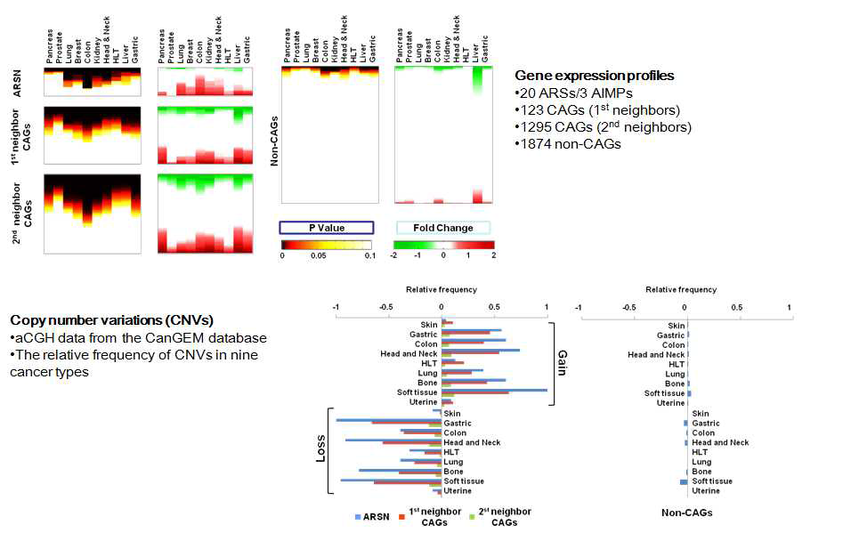 CAGs와 Non CAGs 의 전사체, somatic mutation, CNV 프로파일 비교